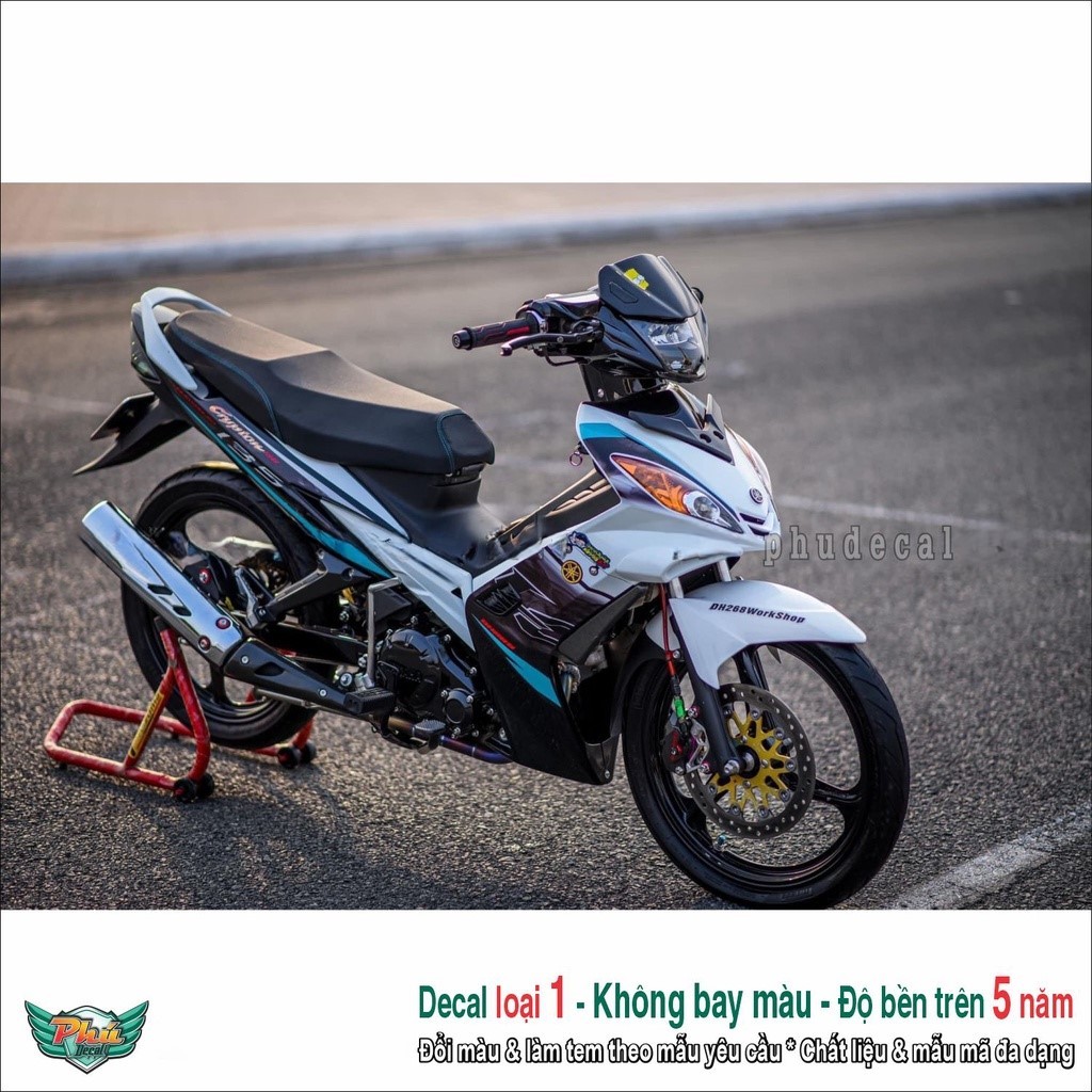 Tem rời Ex 2010 trắng đen lc (2)