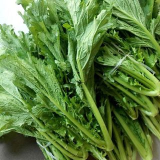 Hạt Giống Rau Cải Mèo