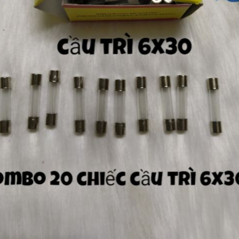 Combo 20 chiếc cầu chì thủy tinh 6x30