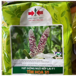 Hạt Giống Bắp Nếp Tím 2 Mũi tên đỏ