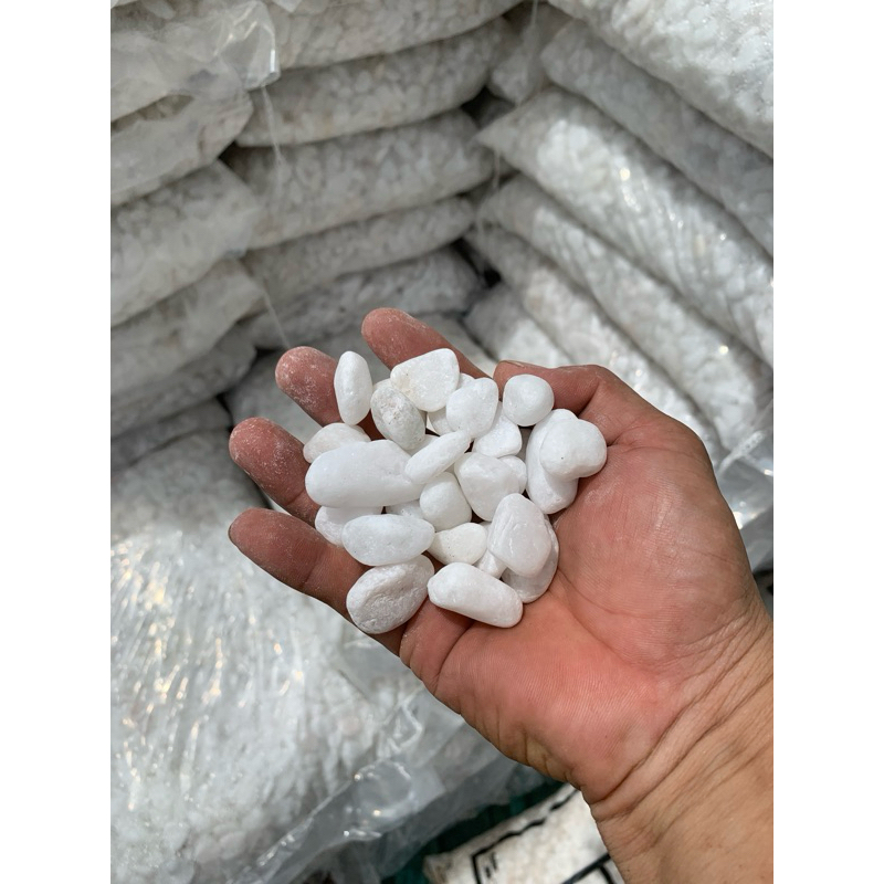 1kg sỏi trắng trang trí cây trồng
