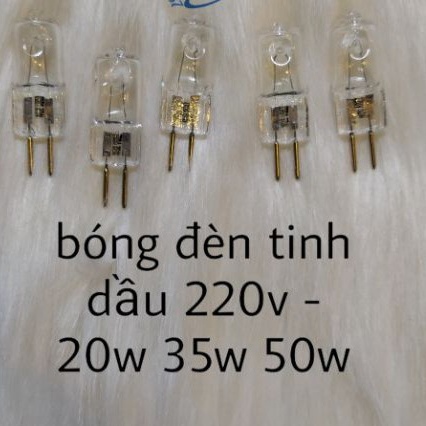 bóng đèn tinh dầu 220v -20w -35w 50w