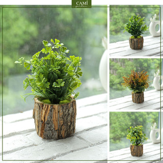  Cây Bonsai Giả Để Bàn Kèm Chậu Gỗ Trang Trí Nhà Cửa Decor Nhà Hàng Quán Cafe Bàn Làm Việc CaMi 