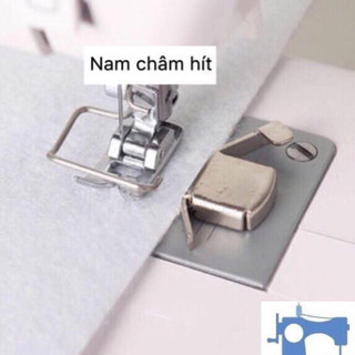 Nam châm cử
