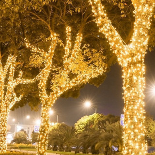  Giá Sỉ Đèn Led Dây Trang Trí 20M 50M 100M Chống nước Đèn Nháy Trang Trí Noel Quán Cà Phê,Led Cuốn Cây Ngoài trời 