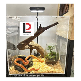 Tank rắn/bò sát cao cấp