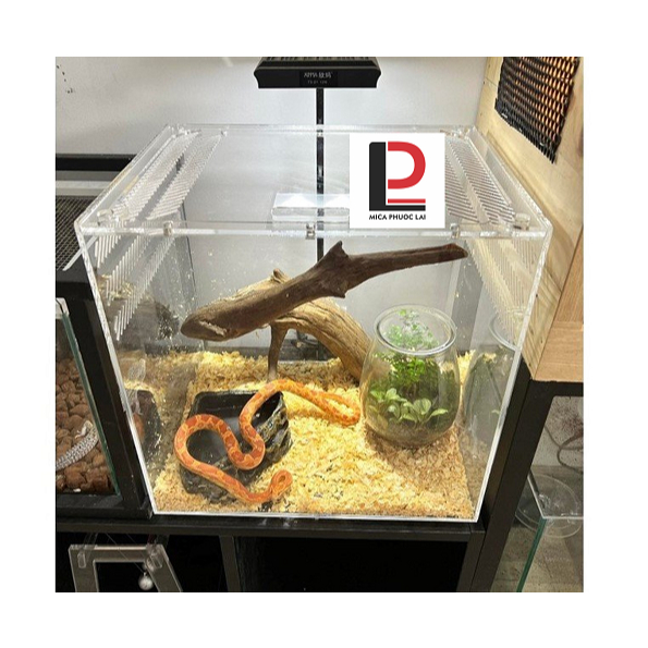 Tank rắn/bò sát cao cấp