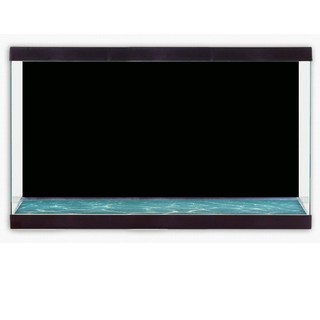 Decal Dán Bể Cá, Dán Nền Hồ Cá Cảnh (Khổ 60cm)