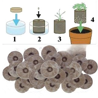 10 Viên Nén Xơ Dừa Ươm Hạt