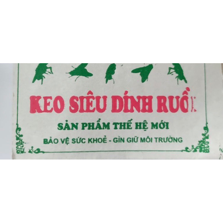 5 Miếng Keo siêu dính ruồi