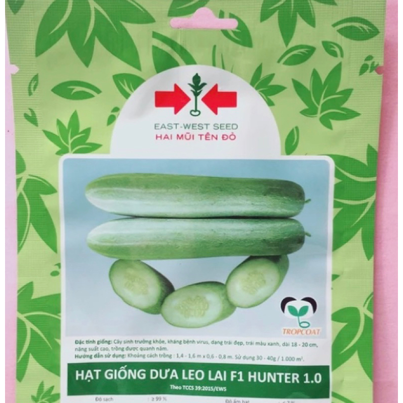 Hạt giống Dưa leo Hunter 1.0 Gói 300 HẠT