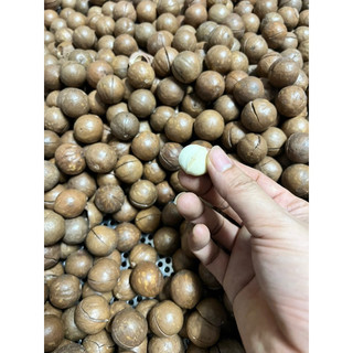 Quả Macca Nhập khẩu Úc 1kg