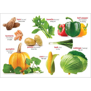 Sách - Từ Điển Bằng Tranh - Rau Củ Quả