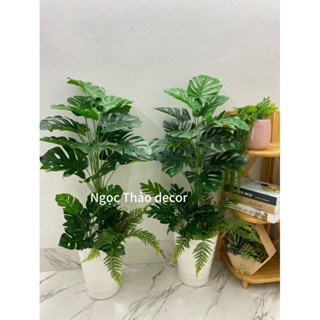 Cây trầu bà, cây lá rùa 1m giả, cây trầu bà kèm tiểu cảnh giả