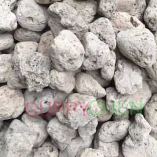 Đá lông vũ ( nham thạch trắng) cho hồ cá thủy sinh
