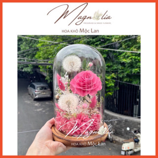 Chụp thuỷ tinh bồ công anh và hoa hồng khô