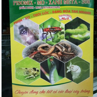 Chế phấm sinh học nấm xanh Metarhizium 500gr