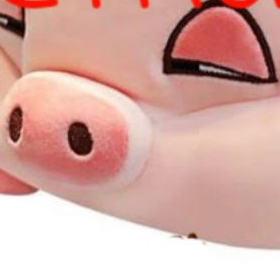 HEO HỒNG PHÊ CẦN