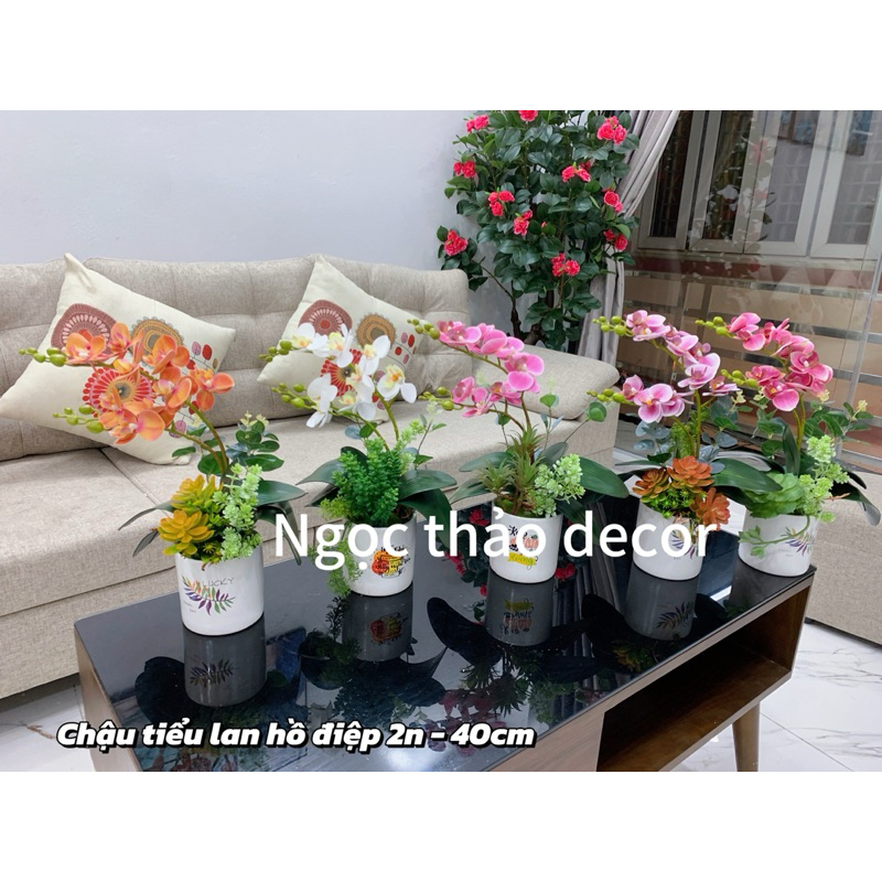 chậu hoa lan hồ điệp giả, chậu hoa để bàn giả
