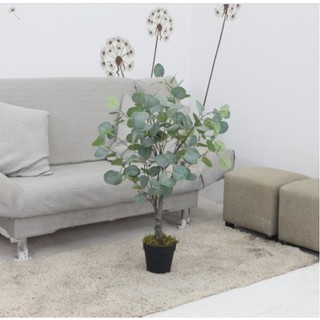 Cây giả - cây bạch đàn giả 80cm kèm giỏ cói size S