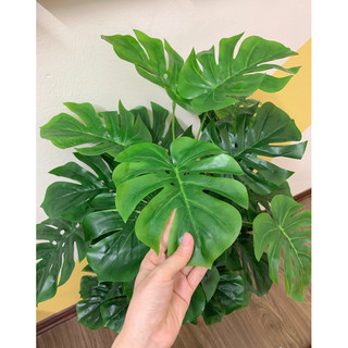 Cây trầu bà lá xẻ cao 1m5 - 72 lá - cây giả trang trí decor nhà