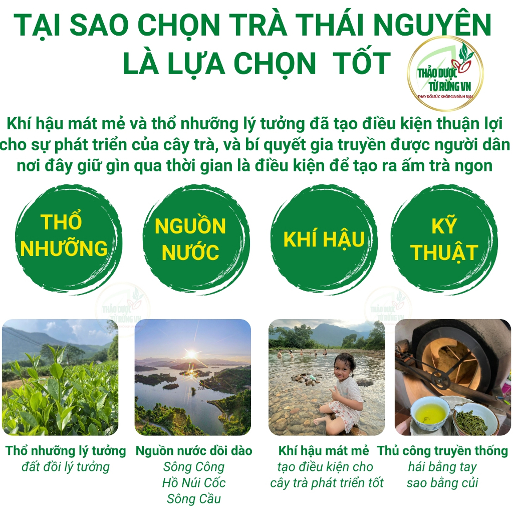 Trà Xanh Thái Nguyên Đệ Nhất Danh Trà 500G Xanh Sạch An Toàn 100% Gốc Chè Thái Nguyên Thảo Dược Từ Rừng VN | BigBuy360 - bigbuy360.vn