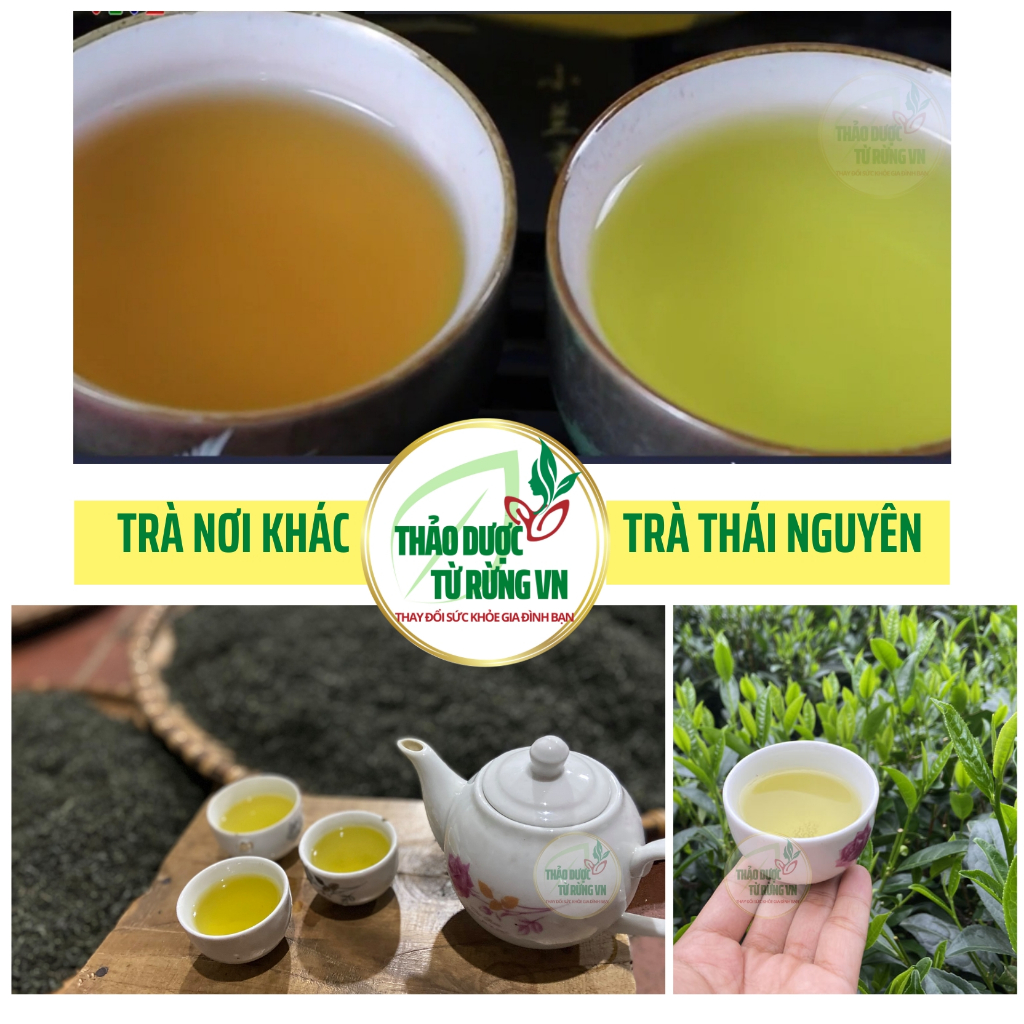 Trà Xanh Thái Nguyên Đệ Nhất Danh Trà 500G Xanh Sạch An Toàn 100% Gốc Chè Thái Nguyên Thảo Dược Từ Rừng VN | BigBuy360 - bigbuy360.vn