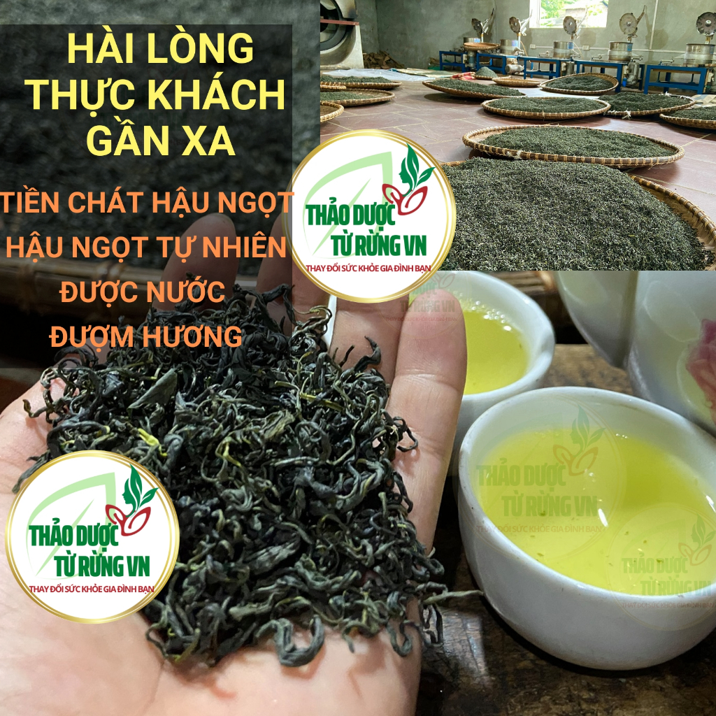 Trà Xanh Thái Nguyên Đệ Nhất Danh Trà 500G Xanh Sạch An Toàn 100% Gốc Chè Thái Nguyên Thảo Dược Từ Rừng VN | BigBuy360 - bigbuy360.vn