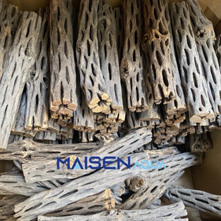 Lũa Cholla - Lũa Xương Rồng Cho Tép Cảnh, trang trí hồ tép, thuỷ sinh