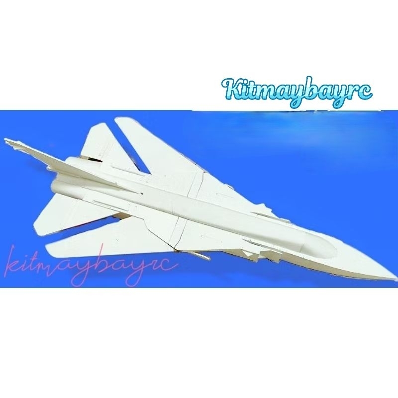 Bộ vỏ kit Su 24 có cơ cấu nâng hạ cánh sải 57 - 1mét
