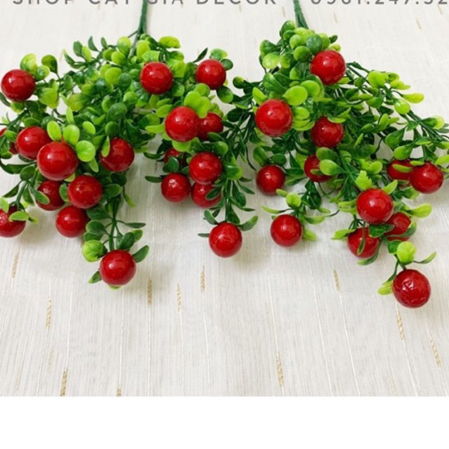 combo chậu hoa + 2 cụm sơ ri đỏ siêu đẹp