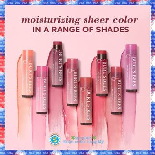 💋 son dưỡng có màu burts bees tinted lip balm 100% thiên nhiên burt bee tint 💋