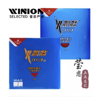 Mặt vợt bóng bàn Reactor ckylin các phiên bản