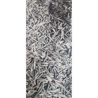 Hạt Hoa Cúc Sao Nhái [1kg ]