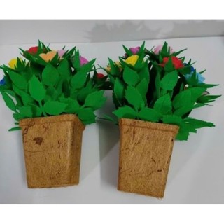 Chậu hoa hồng 15 bông