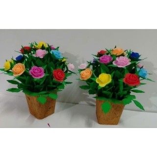 Chậu hoa hồng 15 bông