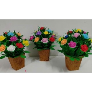 Chậu hoa hồng 15 bông