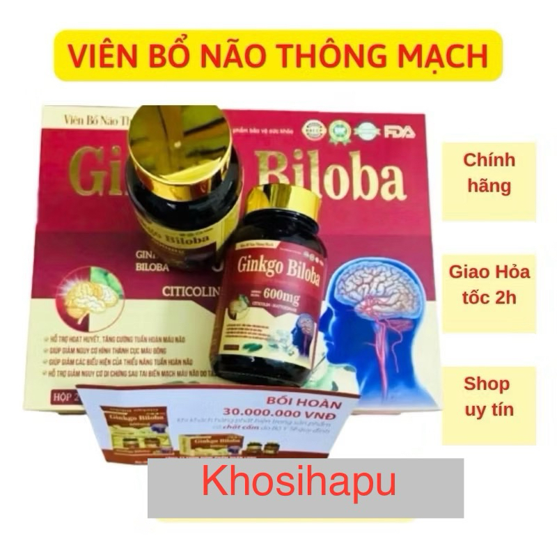 Viên uống bổ não thông mạch hoạt huyết dưỡng não Ginkgo Biloba 600mg hỗ trợ sức khoẻ an toàn 2 lọ x 30 viên