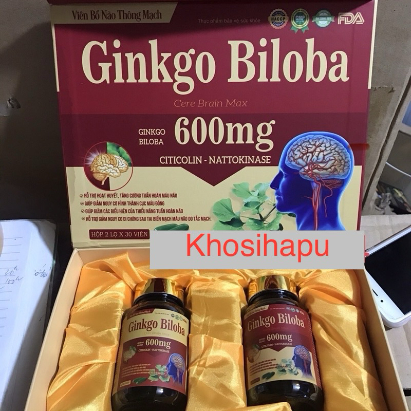 Viên uống bổ não thông mạch hoạt huyết dưỡng não Ginkgo Biloba 600mg hỗ trợ sức khoẻ an toàn 2 lọ x 30 viên