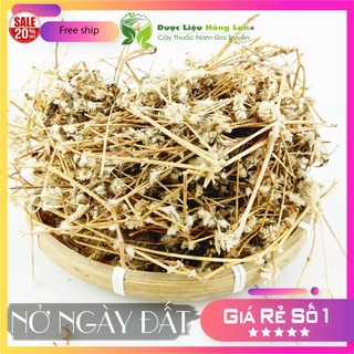 ✅ Cây Nở ngày đất khô sạch (Hỗ Trợ Tiểu Đường, Khắc Tinh Bệnh Gút (Gout))