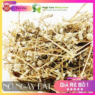 ✅ Cây Nở ngày đất khô sạch (Hỗ Trợ Tiểu Đường, Khắc Tinh Bệnh Gút (Gout))