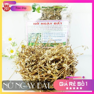✅ Cây Nở ngày đất khô sạch (Hỗ Trợ Tiểu Đường, Khắc Tinh Bệnh Gút (Gout))