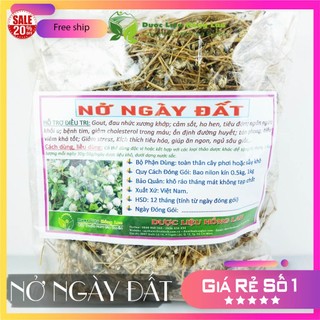 ✅ Cây Nở ngày đất khô sạch (Hỗ Trợ Tiểu Đường, Khắc Tinh Bệnh Gút (Gout))