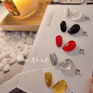 SET SƠN 5 CHAI VENDEENI ( tặng kèm bảng màu)
