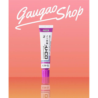  Kem bôi vết đốt côn trùng muỗi đốt Rokoito Locoid Ointment 5g nhật bản 