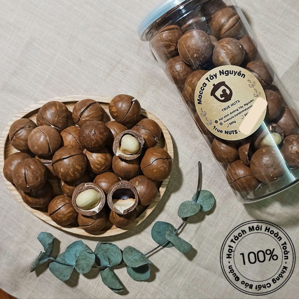 Hạt Macca Tây Nguyên (Hộp 500g)