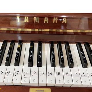 🎹 Phím dán đàn piano nhận biết nốt nhạc