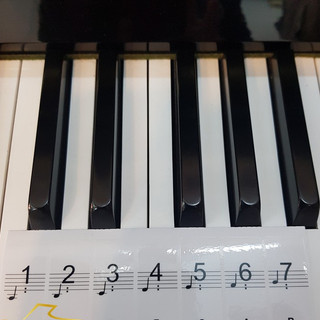 🎹 Phím dán đàn piano nhận biết nốt nhạc