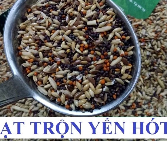 500G HẠT TRỘN DÀNH CHO YẾN HÓT (ĐẦY ĐỦ CHẤT DINH DƯỠNG)