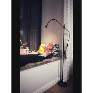 Đèn sàn, đèn cây, đèn đọc sách, đèn ngủ chính hãng NAVLINGE IKEA